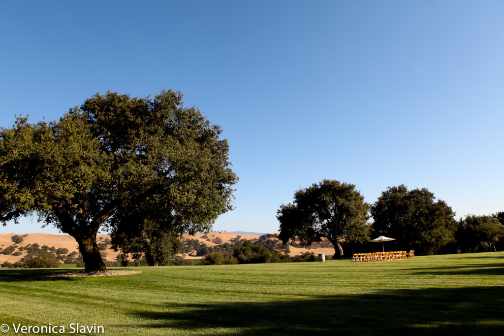 veronica-slavin-wedding-photography-firestone-vineyard-santabarbara-1009