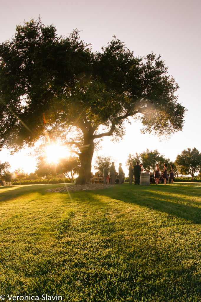 veronica-slavin-wedding-photography-firestone-vineyard-santabarbara-1014