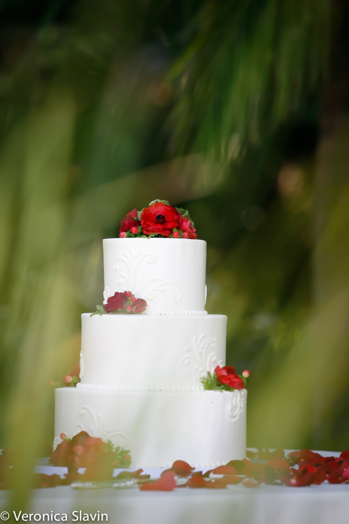 veronica-slavin-wedding-photography-hartley-botanical-garden-1003