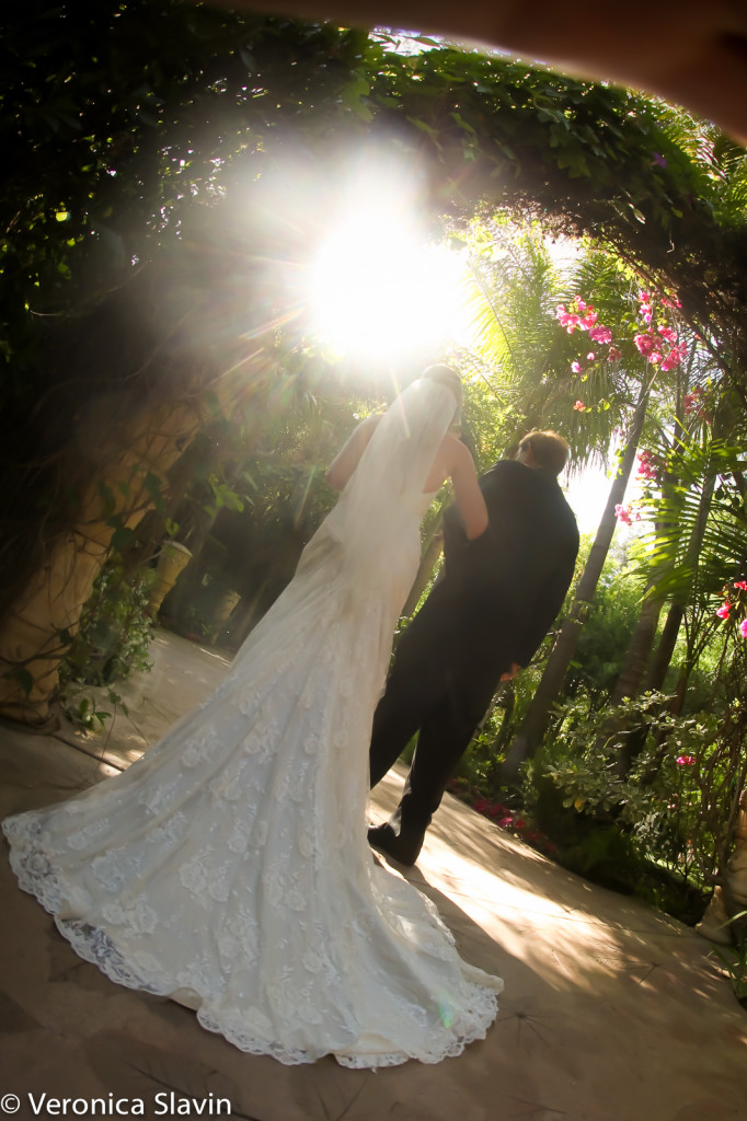 veronica-slavin-wedding-photography-hartley-botanical-garden-1005