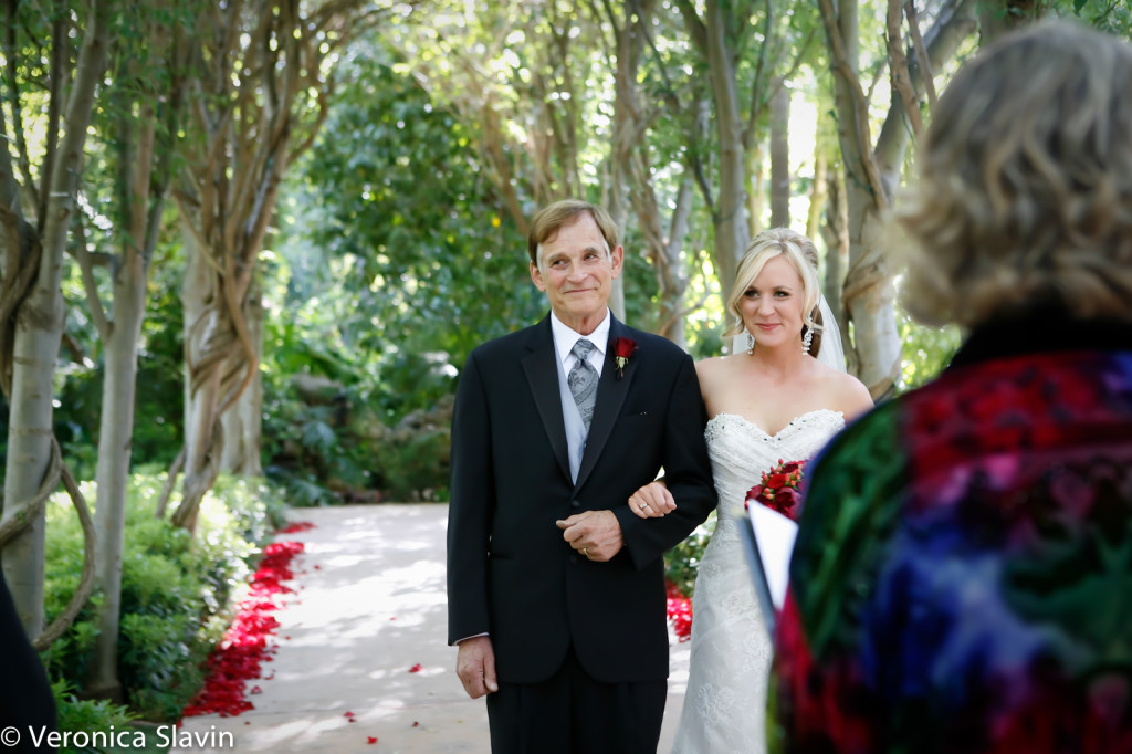 veronica-slavin-wedding-photography-hartley-botanical-garden-1006