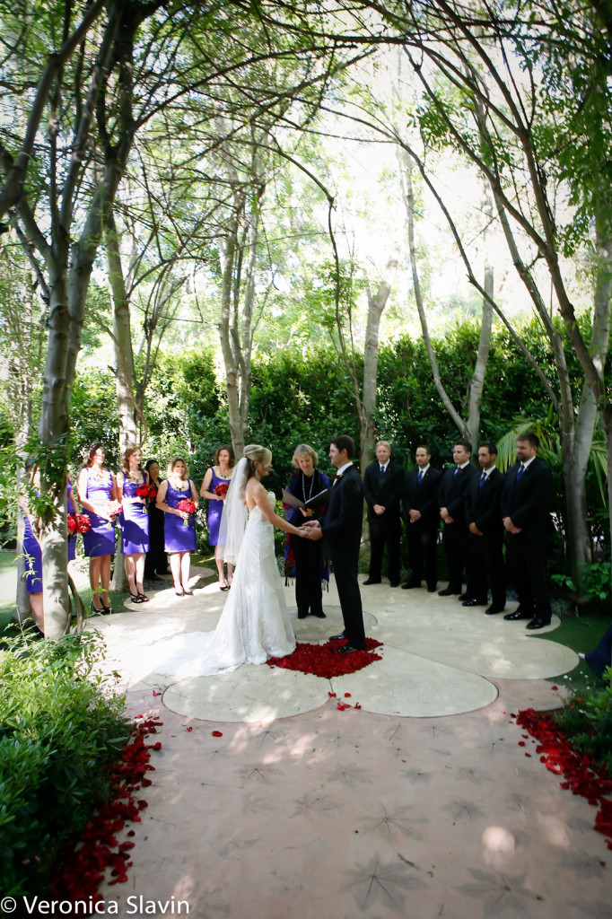 veronica-slavin-wedding-photography-hartley-botanical-garden-1008