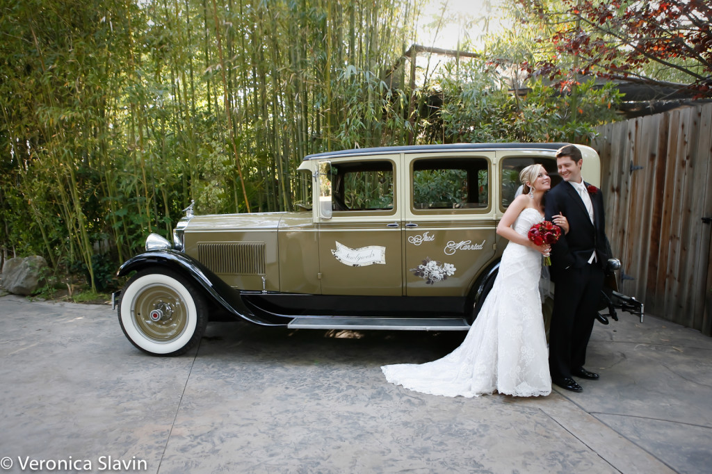 veronica-slavin-wedding-photography-hartley-botanical-garden-1013